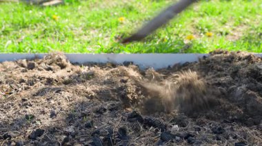 Sebze bahçesi yatağını düz keskiyle sürmek, yakın çekim. Yüksek kalite 4k görüntü