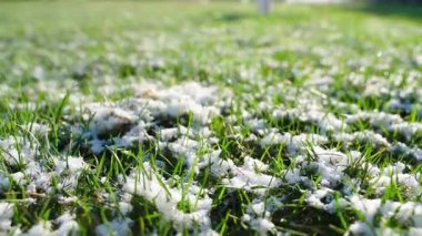 Çimlerin üzerinde kar ile düzgün kamera hareketi, yakın çekim. Güneşte eriyen kar. Yüksek kaliteli FullHD görüntüler