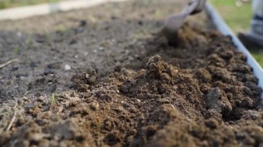 Sebze bahçesi yatağının toprağını düz kesiciyle yavaş çekimde kazmak. Yüksek kaliteli FullHD görüntüler