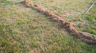 Kıştan sonra çimleri taradıktan sonra çimleri kurut. Baharda çimleri temizliyorum. Yüksek kaliteli FullHD görüntüler