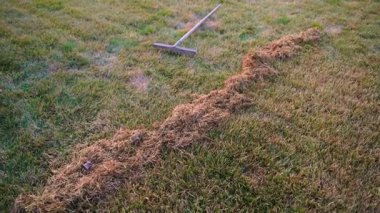 Kıştan sonra çimenlikte tırmık ve bir yığın kuru ot. Yüksek kaliteli FullHD görüntüler