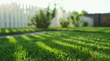 Güneşli bir günde yeşil bir çimenlikteki güneş ve gölge ışınları, pürüzsüz yakın çekim kamera hareketi. Yüksek kaliteli FullHD görüntüler