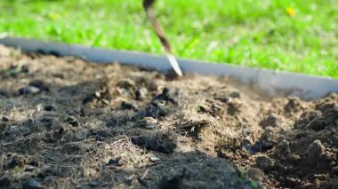 Sebze bahçesinden çıkan bir yatağı düz keski ile, yavaş çekimde sürmek. Yüksek kaliteli FullHD görüntüler