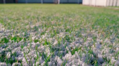 Baharda karla kaplı çimlerin üzerinde yumuşak kamera hareketi. Sabahları yeşil çimlerin üzerinde eriyen karlar. Yüksek kaliteli FullHD görüntüler