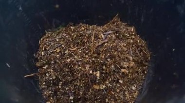 Kova odun parçalarıyla dolu, yavaş çekimde yakın çekim. Yüksek kaliteli FullHD görüntüler