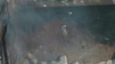 Izgaranın üstünde tavuk kanadı olan ızgara, yakın plan. Yüksek kaliteli FullHD görüntüler