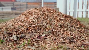 Sokakta bir yığın odun. Ağaç öğütücüsünde ağaç dallarını inceledikten sonra odun parçaları. Yüksek kaliteli FullHD görüntüler