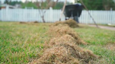 Baharda bahçe bakımı. Çim bakımından sonra çim kurut. Yüksek kaliteli FullHD görüntüler