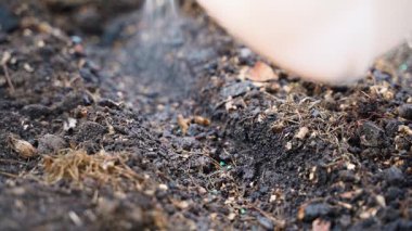 Spreyden önce toprağa nemlendirici tohumlar ektim. Yüksek kaliteli FullHD görüntüler