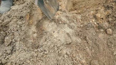 Kürekle patates ekmek için bir sıra kazmak, yakın plan. Yüksek kalite 4k görüntü