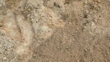 Ekmeden önce bahçe yatağında çukur kazmak. Yüksek kalite 4k görüntü