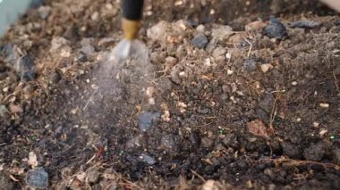 Tohumları ekmeden önce ıslatmak, yakın plan. Yüksek kaliteli FullHD görüntüler