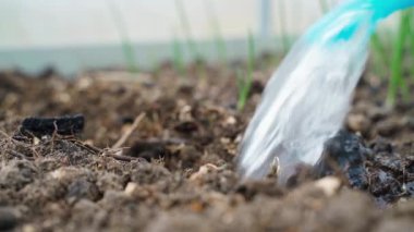 Sebze bahçesi yatağını suluyorum, yavaş çekimde. Yüksek kaliteli FullHD görüntüler