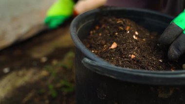 Plastik kovadaki gübrelerden humus hazır, yakın plan. Yüksek kaliteli FullHD görüntüler