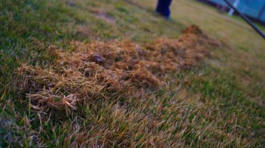 Kuru otları temizlemek için çimleri tırmıkla. Kıştan sonra çimleri temizliyorum. Yüksek kaliteli FullHD görüntüler