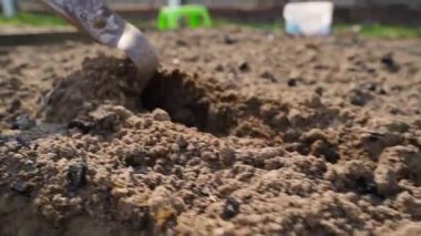 Uçak kesicisi bezelye yatağında tohum ekmek için delik açmak için kullanılır, yavaş çekimde yakın çekim. Yüksek kaliteli FullHD görüntüler