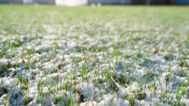 Karda filizlenen yeşil çimenler, yakın plan. Baharda eriyen kar. Yüksek kaliteli FullHD görüntüler