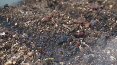 Tohumlu toprak, yakın plan bir püskürtücüyle nemlendirilir. Yüksek kalite 4k görüntü