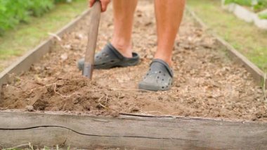 Bir kürek bir bahçe yatağının toprağını sürmek için kullanılır, yakın plan. Yüksek kaliteli FullHD görüntüler