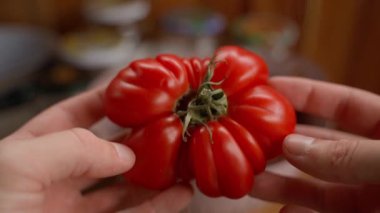 Eller olgun kırmızı domatesleri gösteriyor, yakından. Yüksek kaliteli FullHD görüntüler