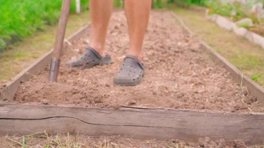 Adam bahçe yatağını yavaş çekimde kazıyor, yakın plan. Yüksek kaliteli FullHD görüntüler