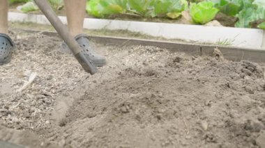 Adam bahçe yatağını yavaş çekimde kazıyor, yakın plan. Yüksek kaliteli FullHD görüntüler