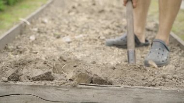 Kürekle bahçe yatağı kazmak, ön manzara, yavaş çekim. Yüksek kaliteli FullHD görüntüler