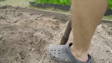 Yavaş çekimde, bir adam bahçe yatağında kürekle toprağı kazıyor, yakın plan. Açık havada fiziksel çalışma. Yüksek kaliteli FullHD görüntüler