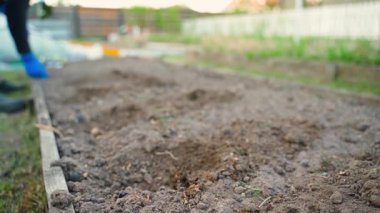 Sebze bahçesinde çalışan, geçmişi bulanık bir kadın. Yüksek kaliteli FullHD görüntüler