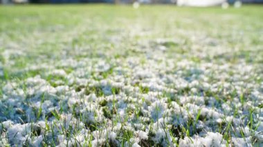 Güneşli havada yeşil çimlerin üzerinde kar, yakın plan. Yüksek kaliteli FullHD görüntüler