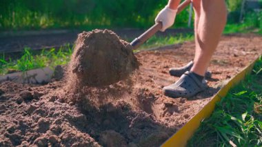 The soil of the vegetable garden bed is being dug with a shovel close-up in slow motion. The gardener works in the vegetable garden in the morning. High quality FullHD footage