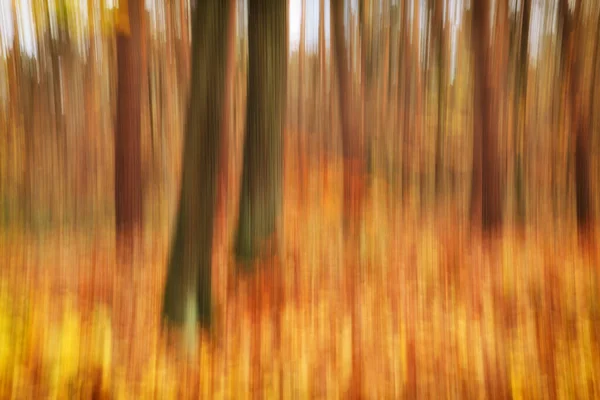 Streszczenie Zdjęcia Rozmyciem Jesiennym Lesie — Zdjęcie stockowe