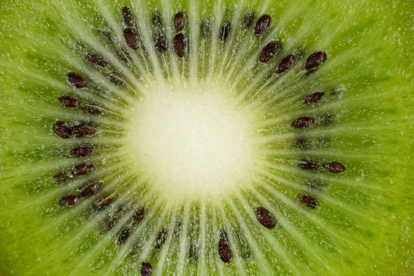 Kiwi Scheiben Geschnitten Kiwi Textur Oder Hintergrund Textur Der Kiwi — Stockfoto