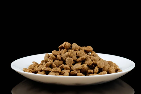 Comida Para Gatos Plato Blanco Alimentación Animal —  Fotos de Stock