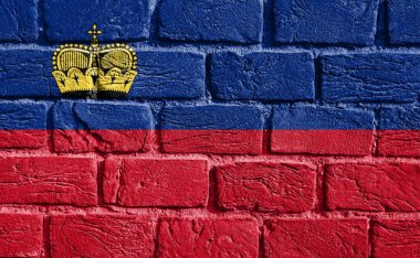 Flag of Liechtenstein on the wall