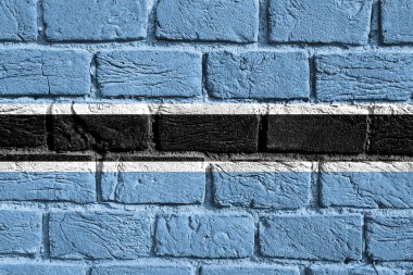 Flag of Botswana on the wall