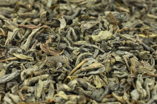 Green Tea Dry Close — Stock Photo, Image