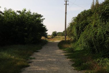 Gece dolunaylı fotoğraf, uzun pozlama..