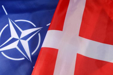 LVIV, UKRAINE - 03 Eylül 2024: NATO ve Danimarka 'nın bayrakları, iki taraf arasındaki işbirliğini ve ittifakı simgeleyen önemli bir askeri etkinlikte sergilenmektedir. Bu vesileyle savunma işbirliği vurgulandı.