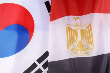 Arka planda Kore ve Mısır bayrakları sallıyor..