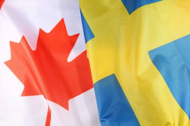 Uluslararası toplantıda Kanada ve Finlandiya bayrakları ya da uluslararası 3 boyutlu görüntüleme