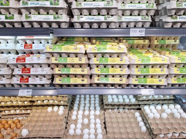 LVIV, UKRAINE - 13 Ocak 2025: Çeşitli yumurta kutuları süpermarket raflarında düzenli olarak düzenlenmekte olup, satılık yumurtaların farklı boyutları ve renkleri gösterilmektedir.