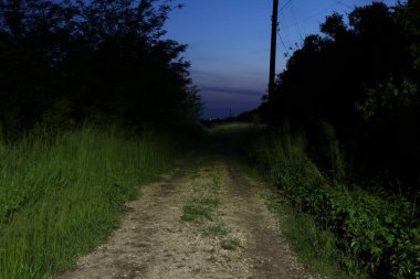 Ufukta beliren belli belirsiz ışıklara doğru uzanan uzun otlar ve ağaçlarla çevrili bir toprak yol geceleri hafifçe aydınlatılır..