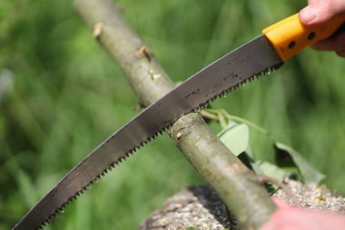 Bir insan gün ışığında gür bir açık hava ortamında kalın bir dalı kesmek için el testeresi kullanır..