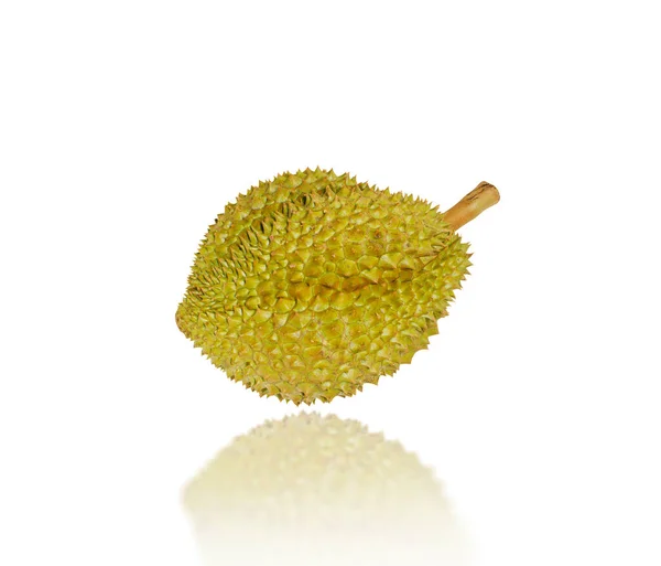 Een Rijpe Durian Geïsoleerd Met Spikes Witte Achtergrond Object Geïsoleerd — Stockfoto