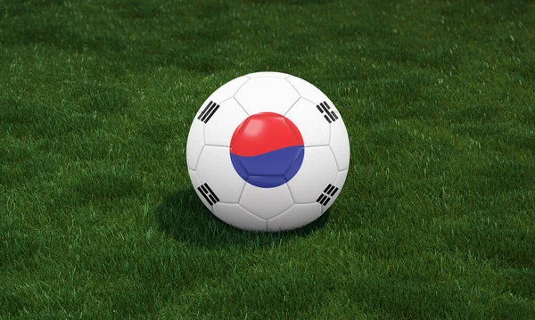 Focilabda Dél Korea Zászlószínekkel Egy Stadionban Zöld Füves Háttérrel Illusztráció — Stock Fotó