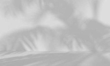 Beyaz arka planda tropik yaprakların gölgeleri. Ürün sunumu için en az soyut arkaplan.