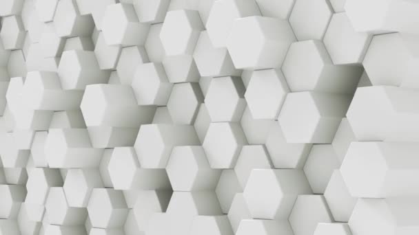 Hexagonal Wall Perspective White Background Texture Tech Fashion Concept Motion — Stock Video
