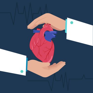 Ellerin arasında tutulan bir insan kalbinin vektör çizimi, sağlık ve kalp korumasını sembolize ediyor. Arka plandaki kalp atışları tıbbi bakımı vurguluyor.