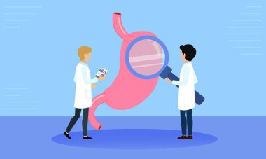 İki doktorun bir mide modelini büyüteçle incelemesi tıbbi araştırmayı, gastroenterolojiyi ve teşhisi sembolize ediyor..